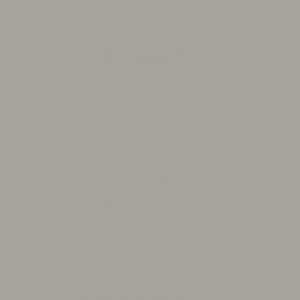 NEUTRAL GREIGE 2402 ONYX